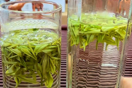 什么茶最好喝？茶叶有哪些品种？