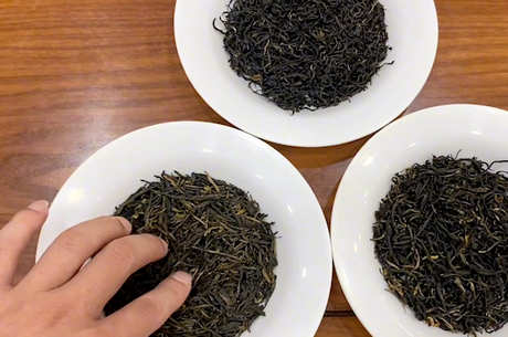 红茶是熟茶还是生茶