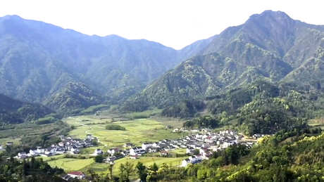 祁门红茶产地