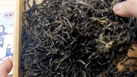 喝普洱茶生茶好熟茶好熟茶好