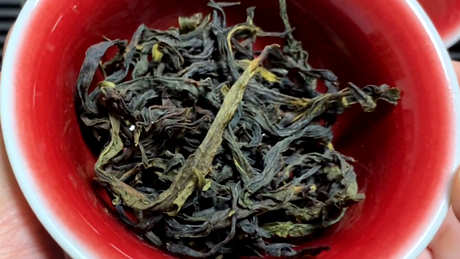 凤凰茶十大香型和常见品种