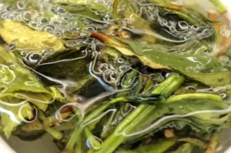 凤凰茶十大香型和常见品种