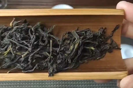 乌龙茶有哪些品种？