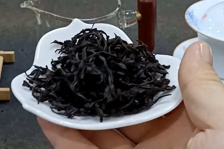 乌龙茶有哪些品种？