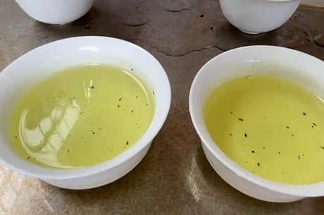 安溪铁观音四大品种