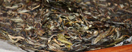 冰岛普洱茶生茶好还是熟茶好