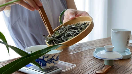 白牡丹和寿眉有什么区别？