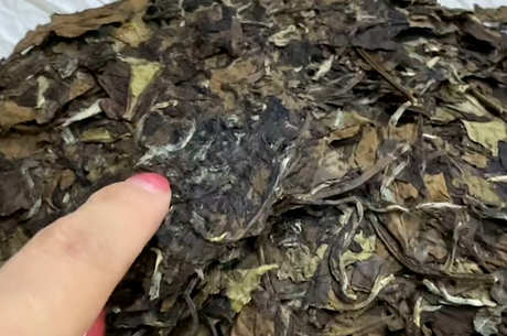 喝茶的礼仪