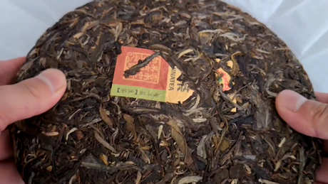 什么季节喝普洱茶？