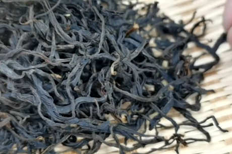 什么季节喝红茶最好？