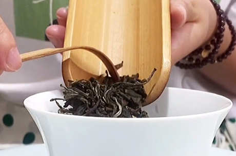 正确饮用生普洱茶
