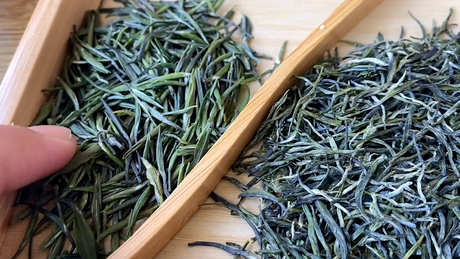 绿茶三年后还能喝吗？