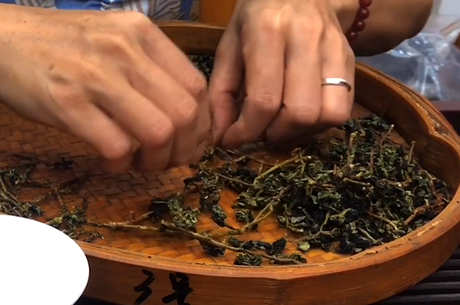 早上可以喝茶吗？