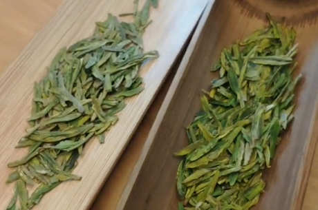 什么季节喝龙井茶最好？