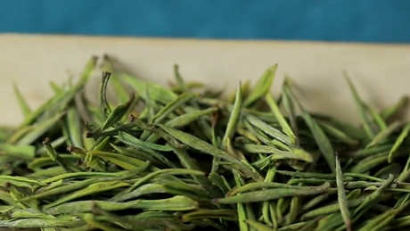 什么季节喝白茶比较好？