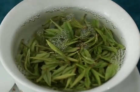 什么季节喝白茶比较好？