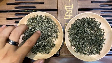 碧螺春产于哪里？