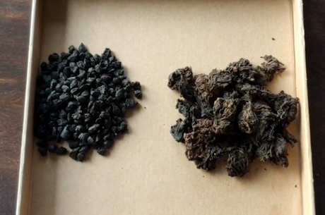 什么季节的碎银比较好？