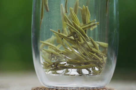 四大名茶有哪四种？
