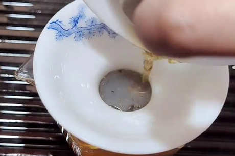 乌龙茶要洗茶吗？