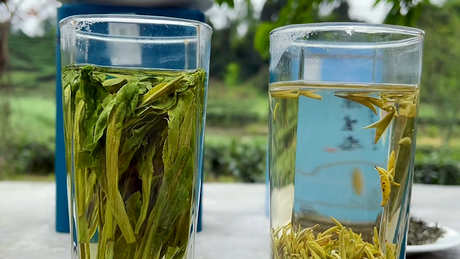 安徽四大名茶是哪四大名茶？