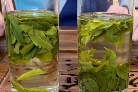 安徽四大名茶是哪四大名茶？