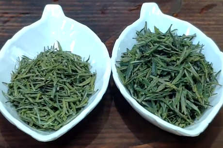 绿茶的茶色