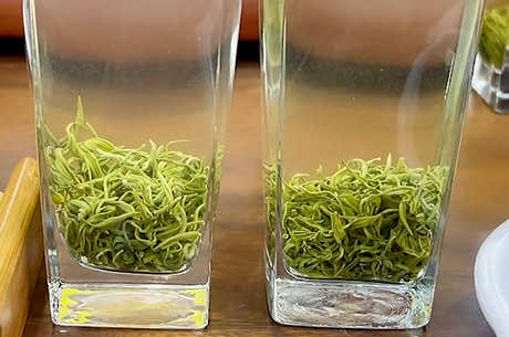 绿茶的茶色