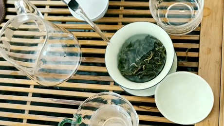 安吉白茶6年后还能喝吗？