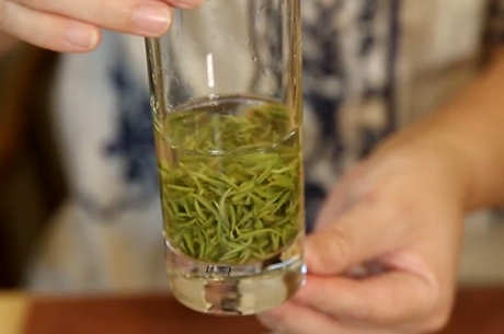 碧螺春长什么样？
