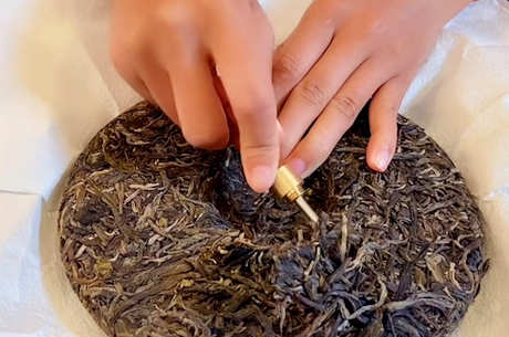 忙肺古树茶属于哪个产区？