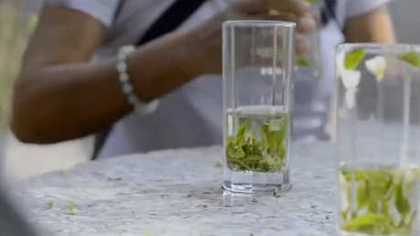 茉莉花茶的产地在哪里？
