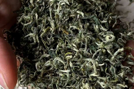 四大名茶是哪四大名茶？