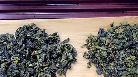 铁观音是一种乌龙茶吗？