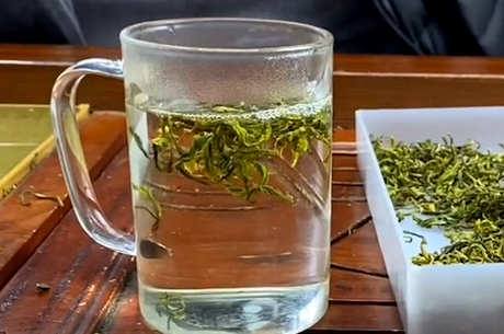 哪里最好生产安吉白茶？