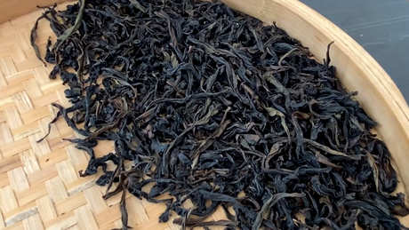 肉桂茶产地哪里好？