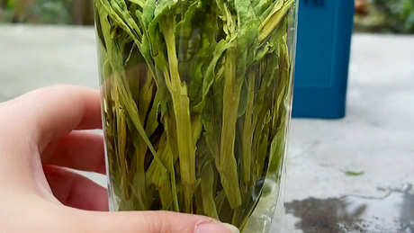 猴魁茶的产地