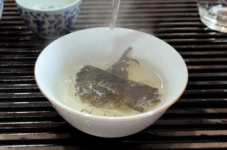 泾阳茯茶产地在哪里？