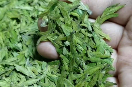 龙井茶的产地在哪里？