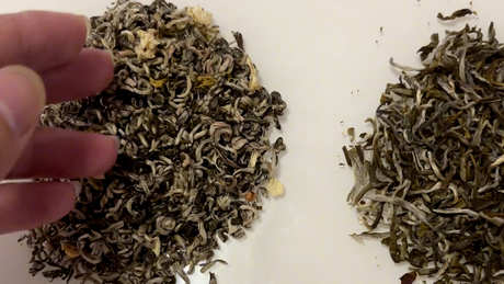 茉莉花茶产地哪里好？