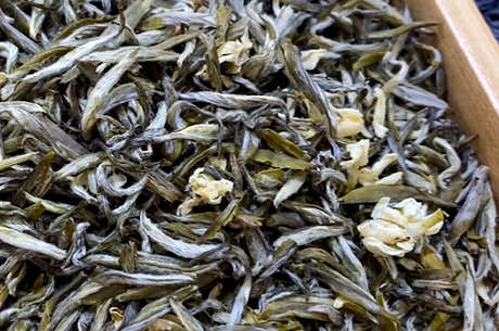 茉莉花茶产地哪里好？