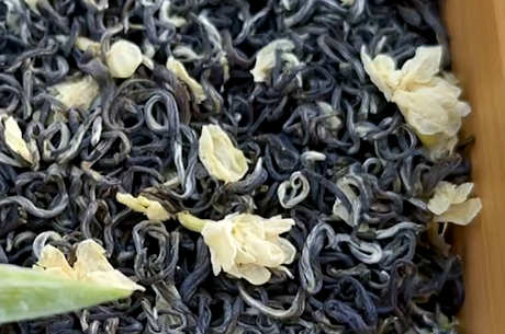 茉莉花茶产地哪里好？