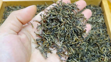 金骏眉茶的产地在哪里？