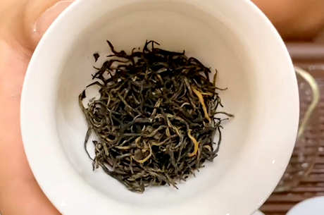 金骏眉茶的产地在哪里？