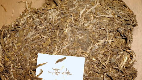 昔归茶的产地在哪里？