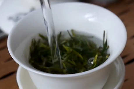醒茶是什么意思？