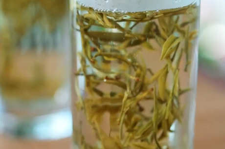 醒茶是什么意思？