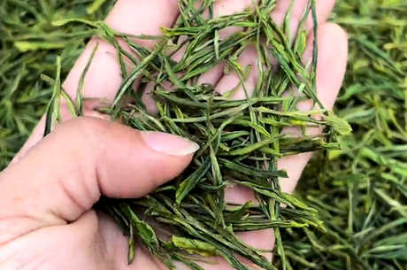 六大茶有哪些代表性名茶？