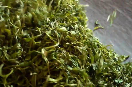 茶叶的加工工艺