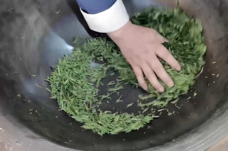 龙井茶的生产工艺流程